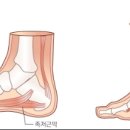 인우당한의원 이미지