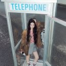 스피드플라워 이미지