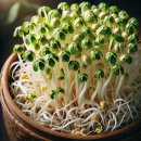 연성중학교 이미지