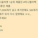 미니파라디움 이미지