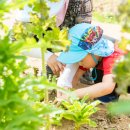 양천도시농업공원 이미지