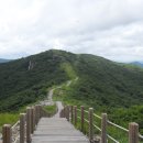 정고개농장 Daum카페