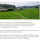 담백하고 고소한 우리 미숫가루 이미지