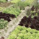 제형농장 이미지