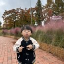 유림공원국화축제🌼 이미지