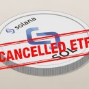 (주)알레아 이미지