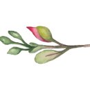 12/2 크리스마스 테라리움 이미지