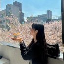 구룰루(Gululu) | 일상 April🌸