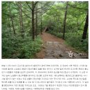 대진여행사 이미지