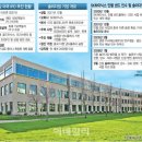 “솔리다임, 중복상장”…당국, 'SK 하닉 거래 정지' 규제 카드까지 만지작 이미지