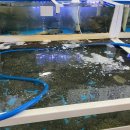 유일대게회식당 이미지