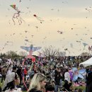 월드태양광 이미지