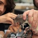 G.O.A.T. GYM 이미지