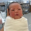 우리산부인과 네이버블로그