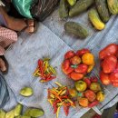 꼬꼬피치 | 🇧🇴 [코차밤바 4일차] 로컬 버스 '뜨루피' 타고 떠나는 따라따 당일치기 완전 정복