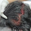 자라다의원 이미지