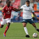 그린우드 이미지