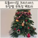두잉썸 | 두돌아기집 크리스마스 준비 두잉썸 무독성 벽트리 후기