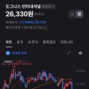 니스인터내셔날 이미지