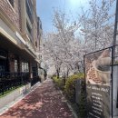 광교카페거리 이미지