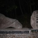 부석모텔 이미지