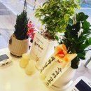 피부관리·경락(수) 이미지