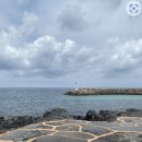 스포츠파크 해안도로 이미지