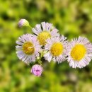 고척근린공원 이미지