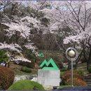 벚꽃 1번지 경남 진해(鎭海) 장복산(長卜山) 산행 ① / 조각공원에서 정상까지 이미지