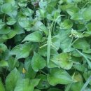 승문농장 이미지