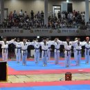 코리아타이거즈태권도 이미지