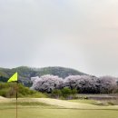 문화골프연습장 이미지