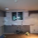 국화우성 이미지