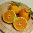 지윤농장 이미지