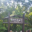 526회 산행(20년 8월30일)한라산 둘레길 이미지