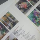 은평연세병원 이미지