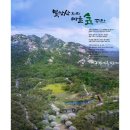 지오조경 이미지