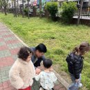 개미와공벌레 관찰하기 이미지