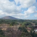 삼무공원 이미지