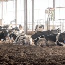 유옥목장 이미지