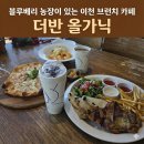 이천제이농장 | 이천 더반올가닉 블루베리 농장이 있는 예쁜 이천 브런치카페 맛집 추천