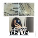 네오프라자2 | 네오나오 송내역점, 부천 두피 스케일링, 탈모 관리, 머릿결 좋아지는 두피 케어