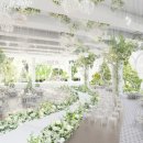 대경꽃화원 이미지