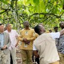 가나농장 이미지