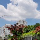 아현초교 이미지