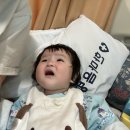 용인윤약국 | 제주 vacation 막이래