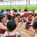 백학꿈나무어린이집 이미지