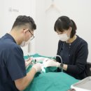 서울열린수치과의원 이미지