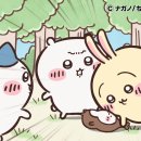 머리끄댕이 - 완주군 둔산3로 63 | 머리끄댕이