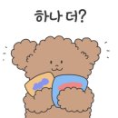궁평식당 이미지